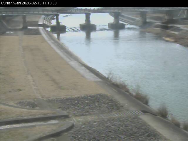 最新監視カメラ画像