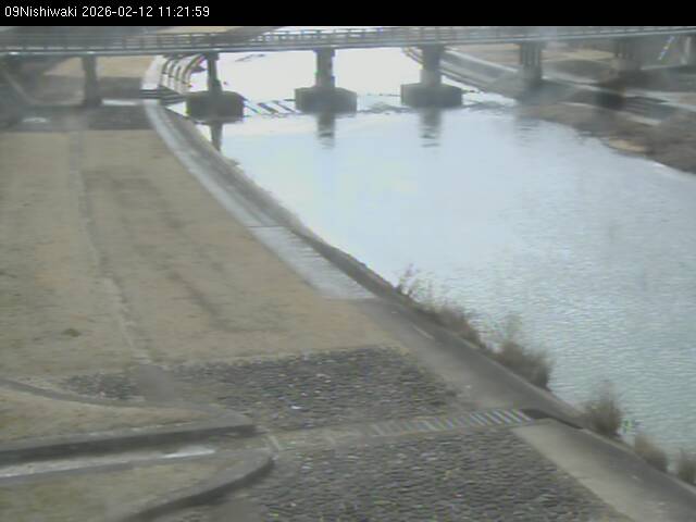 最新監視カメラ画像