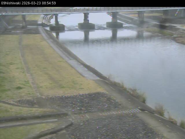 最新監視カメラ画像