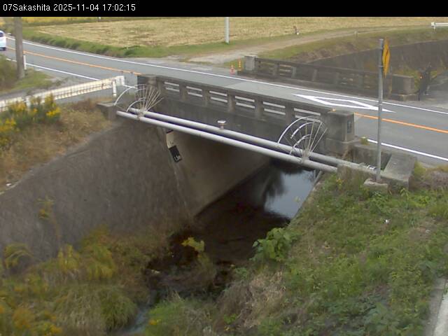 最新監視カメラ画像