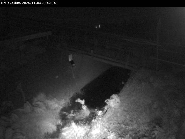 最新監視カメラ画像