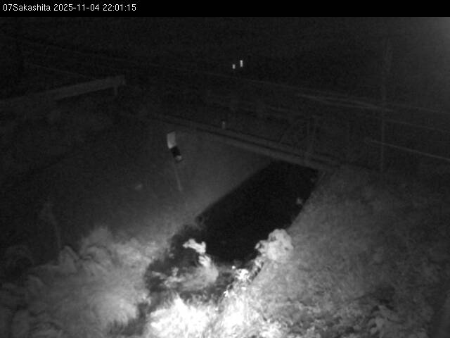 最新監視カメラ画像