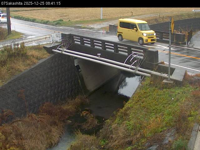 最新監視カメラ画像