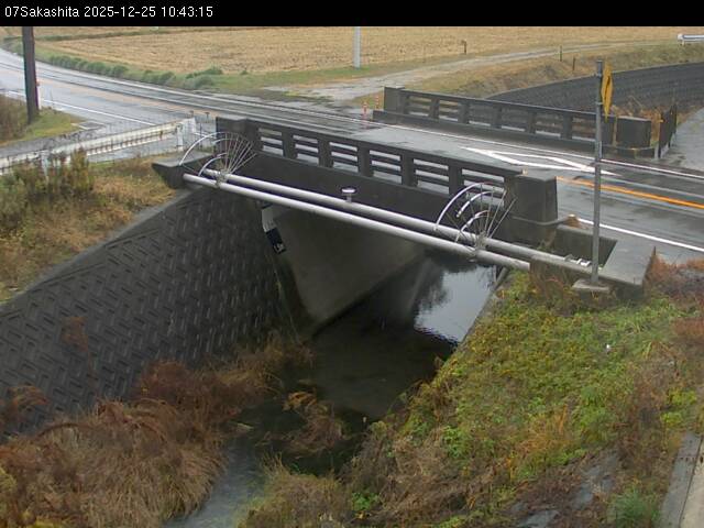 最新監視カメラ画像