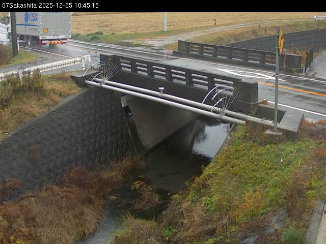 最新監視カメラ画像