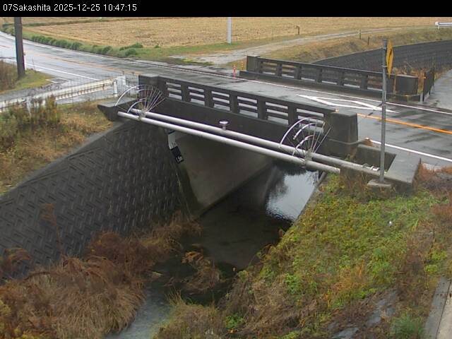 最新監視カメラ画像