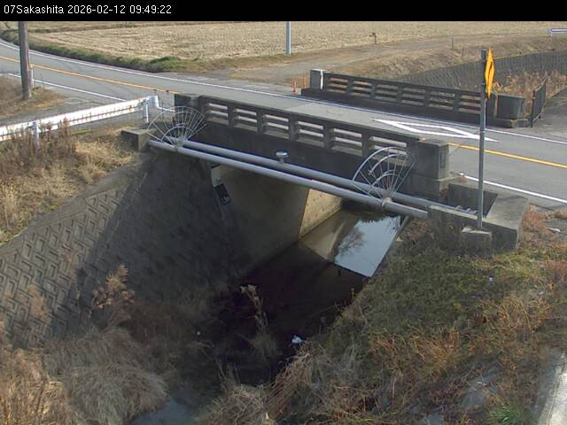 最新監視カメラ画像