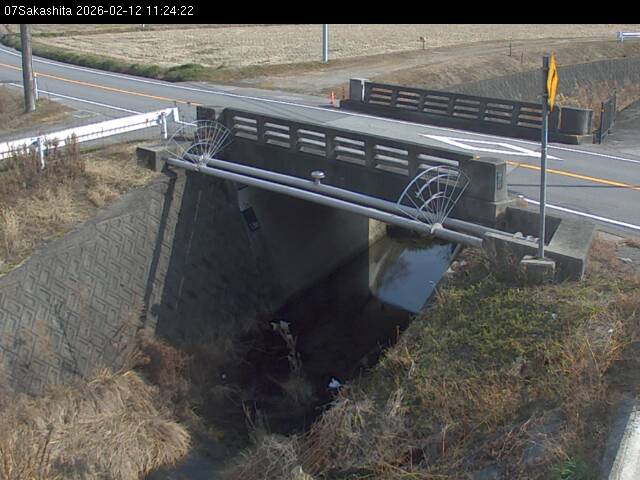 最新監視カメラ画像