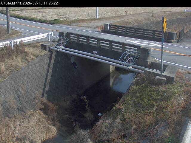 最新監視カメラ画像