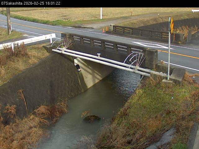 最新監視カメラ画像