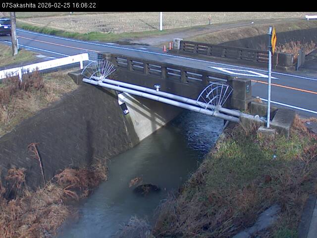 最新監視カメラ画像