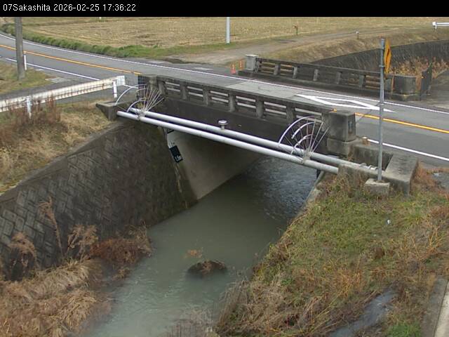 最新監視カメラ画像