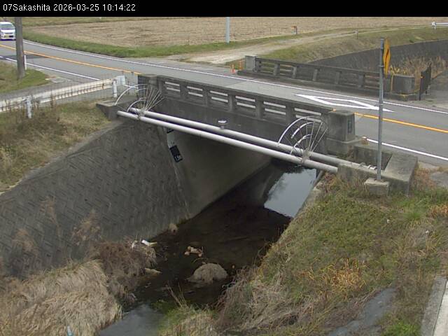 最新監視カメラ画像