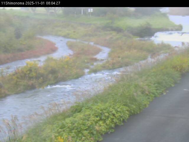 最新監視カメラ画像