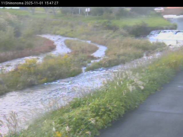 最新監視カメラ画像