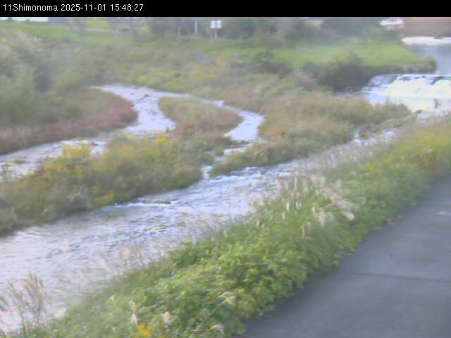 最新監視カメラ画像