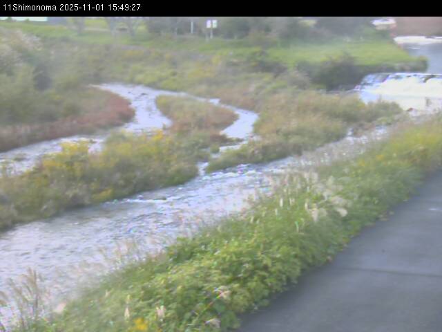 最新監視カメラ画像