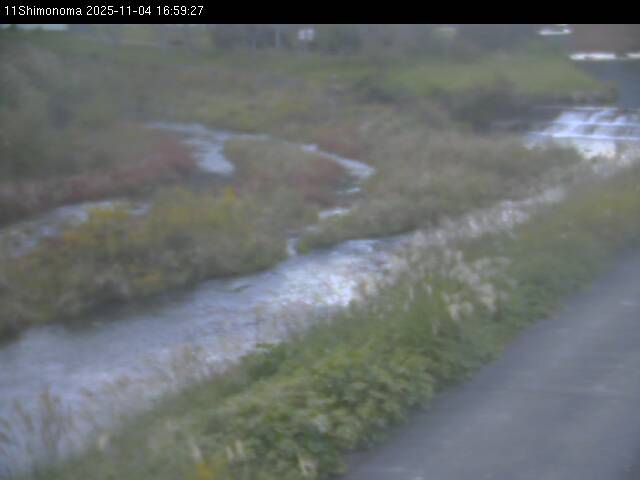 最新監視カメラ画像