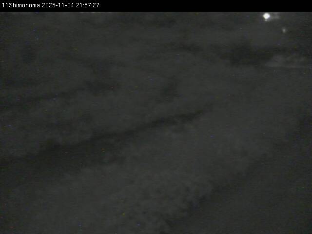 最新監視カメラ画像