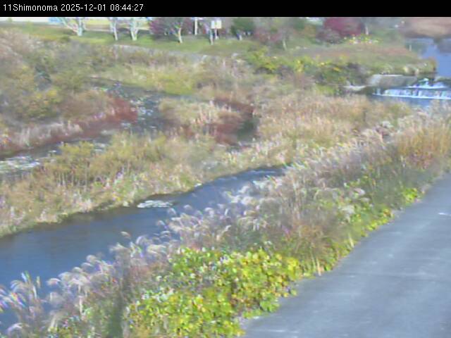 最新監視カメラ画像