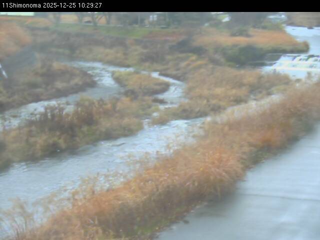 最新監視カメラ画像