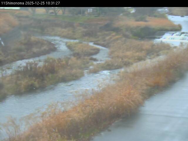 最新監視カメラ画像