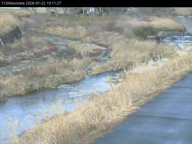 最新監視カメラ画像