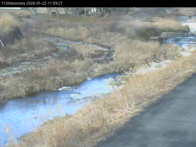 最新監視カメラ画像