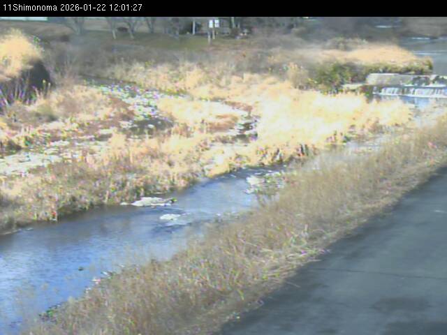 最新監視カメラ画像