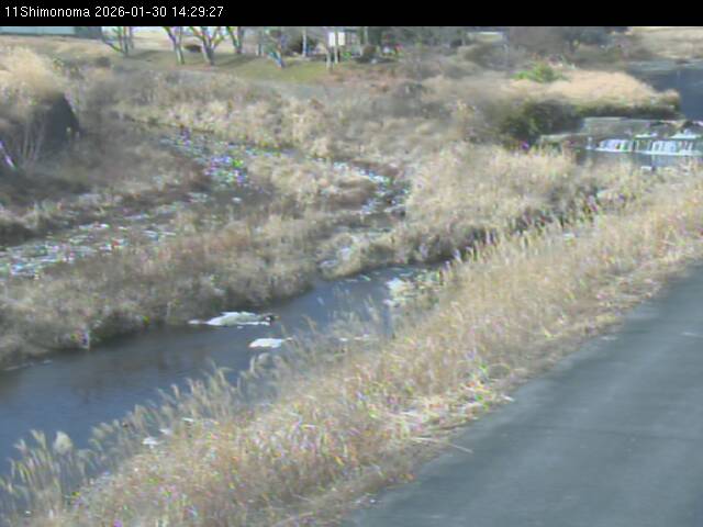 最新監視カメラ画像