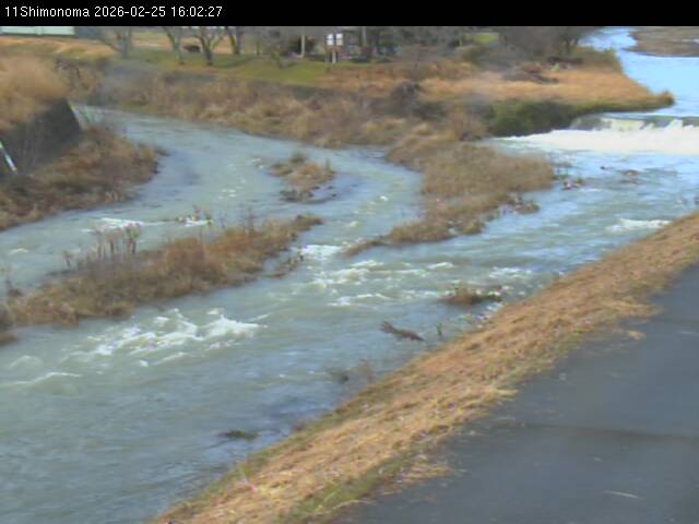 最新監視カメラ画像