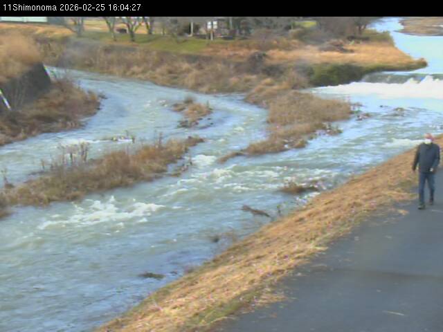 最新監視カメラ画像