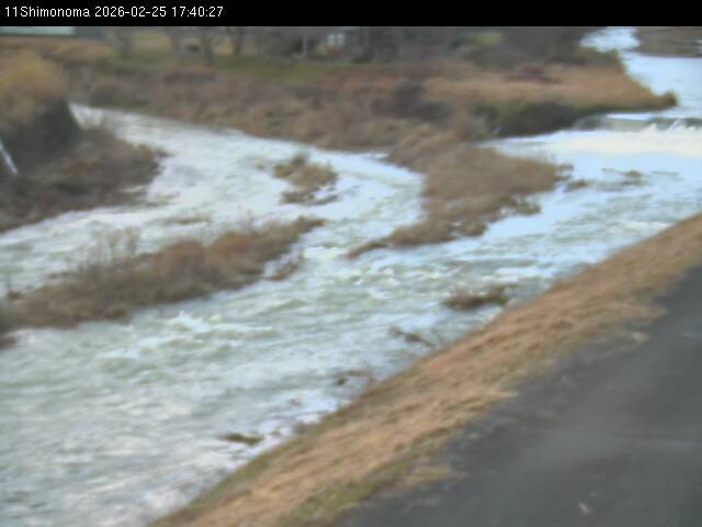 最新監視カメラ画像