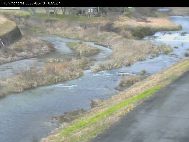 最新監視カメラ画像