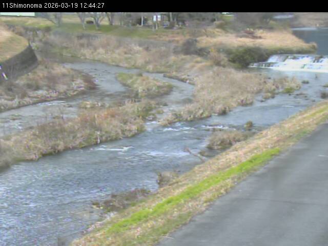 最新監視カメラ画像