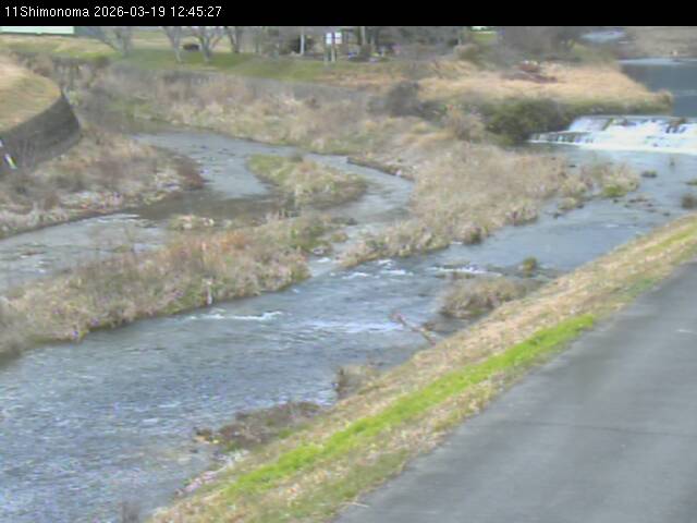 最新監視カメラ画像