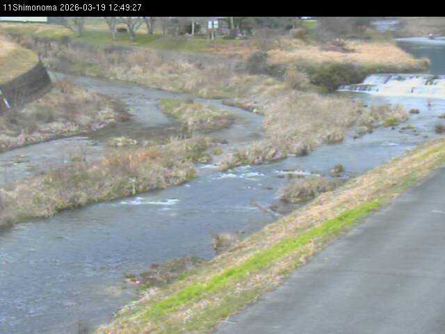 最新監視カメラ画像