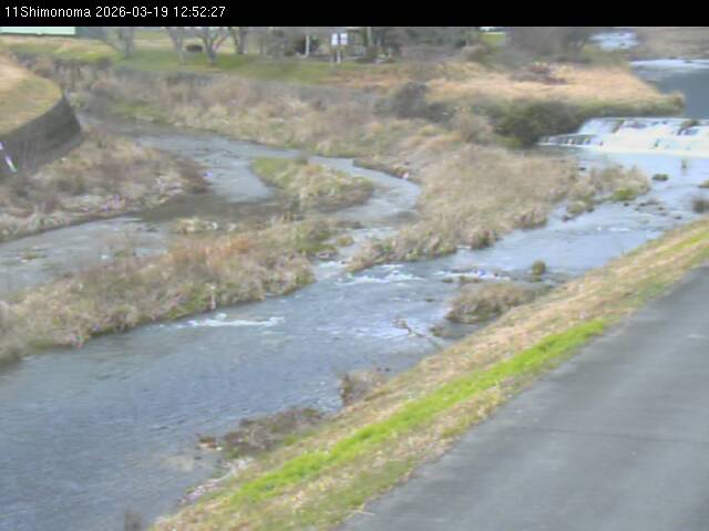 最新監視カメラ画像