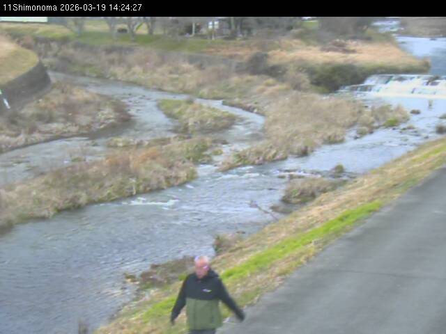 最新監視カメラ画像