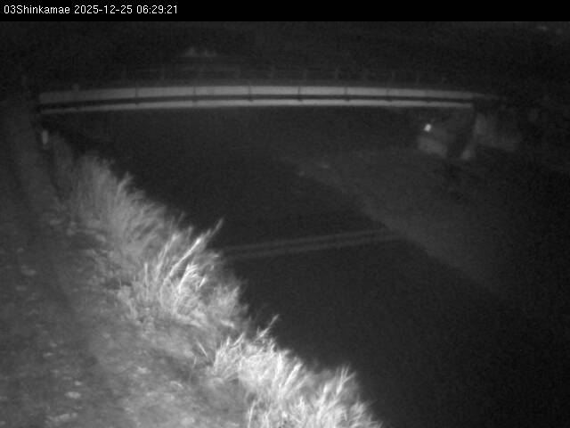 最新監視カメラ画像