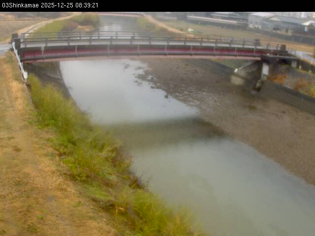 最新監視カメラ画像