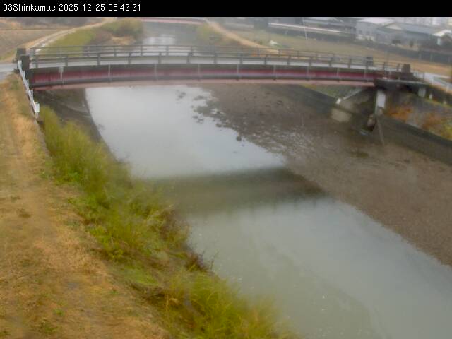 最新監視カメラ画像