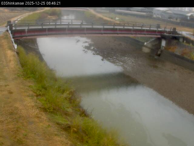 最新監視カメラ画像