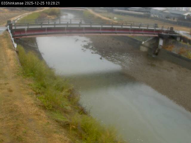 最新監視カメラ画像