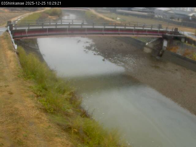 最新監視カメラ画像