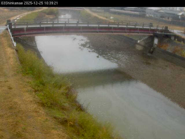 最新監視カメラ画像