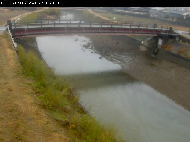 最新監視カメラ画像