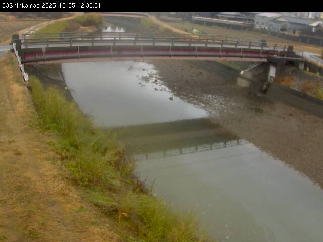 最新監視カメラ画像