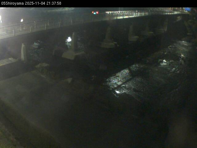 最新監視カメラ画像