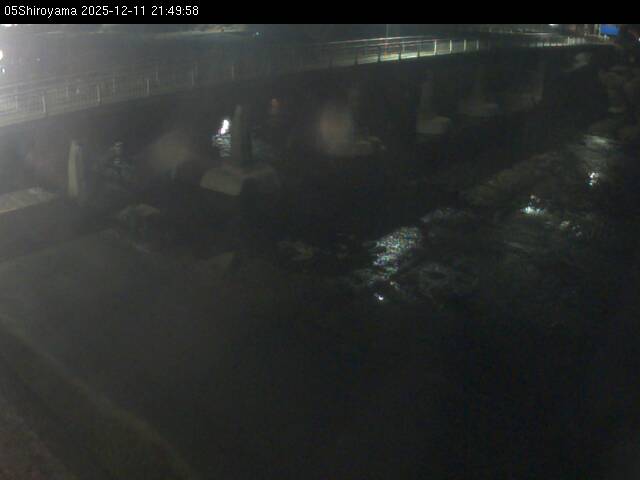 最新監視カメラ画像